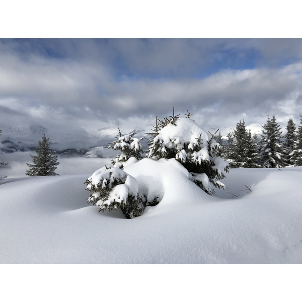 รูปถ่าย ฝรั่งเศส(France) ปรา-ซูร์-อาร์ลี(Praz sur Arly) 2019-12 213