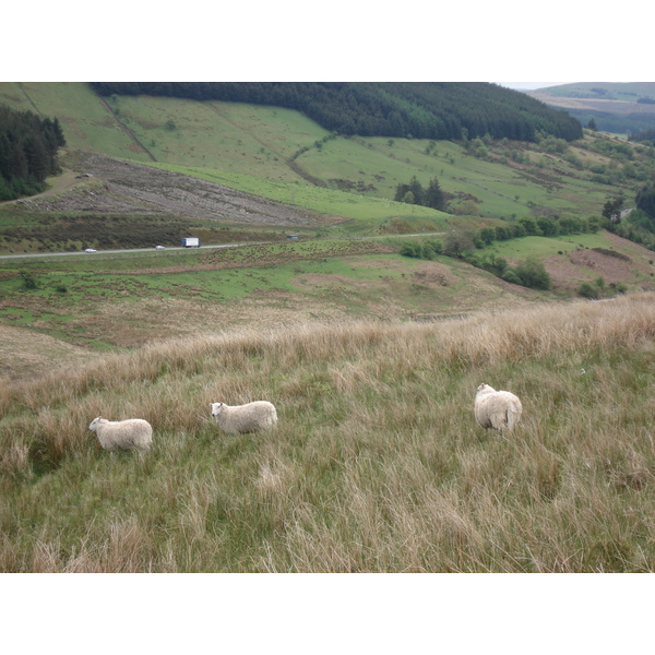 รูปถ่าย อังกฤษ(United Kingdom) อุทยานแห่งชาติเบรคอนบีคอนส์(Brecon Beacons National Park) 2006-05 92