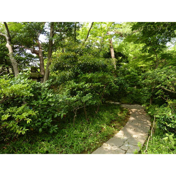 รูปถ่าย ญี่ปุ่น(Japan) โตเกียว(Tokyo) พิพิธภัณฑ์เนซุ(Nezu Museum) 2010-06 102