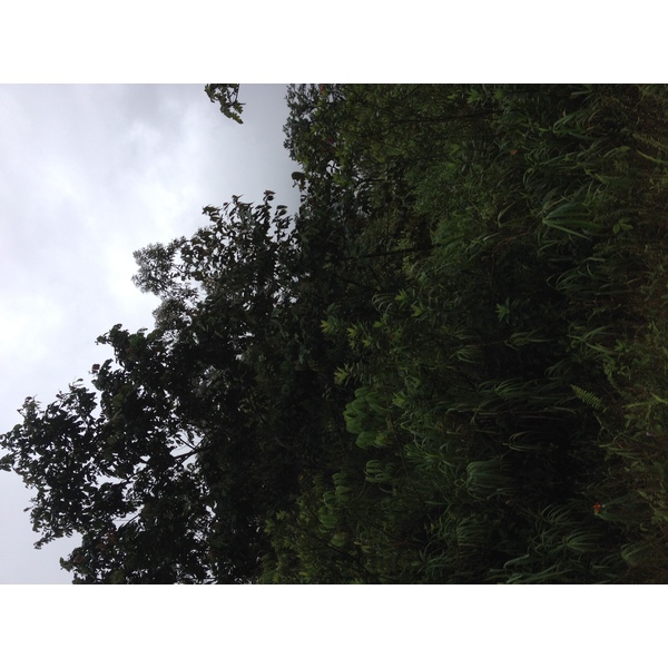 รูปถ่าย ปานามา(Panama) จากดาบิดไปโบกัสเดลโตโร(David to Bocas del toro) 2015-03 53