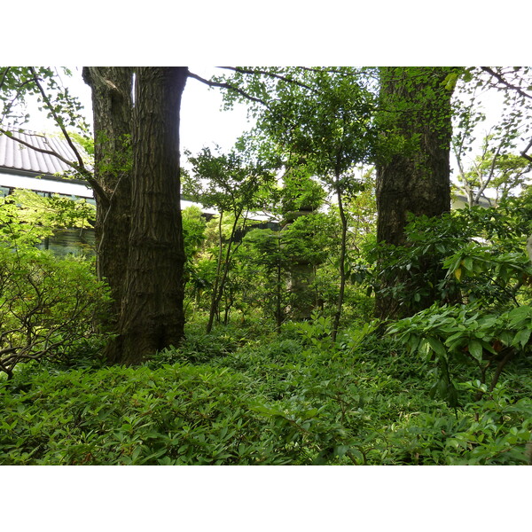 รูปถ่าย ญี่ปุ่น(Japan) โตเกียว(Tokyo) พิพิธภัณฑ์เนซุ(Nezu Museum) 2010-06 113