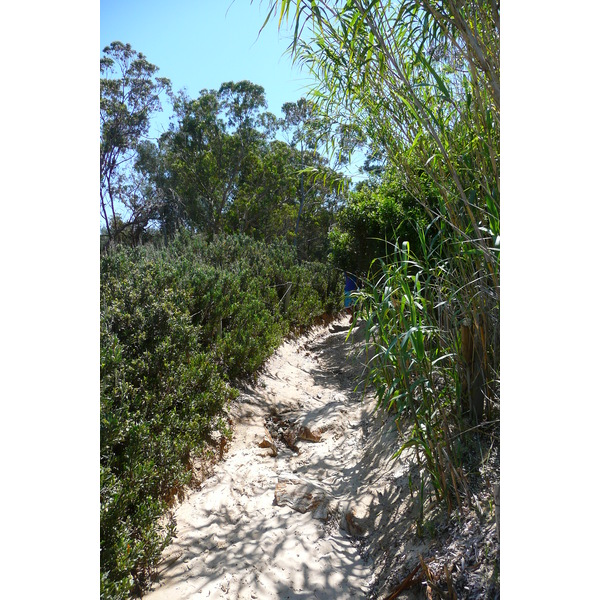 รูปถ่าย ฝรั่งเศส(France) เกาะปอร์เกอรอล(Porquerolles Island) หาดกูร์ตาด(Courtade beach) 2008-05 13