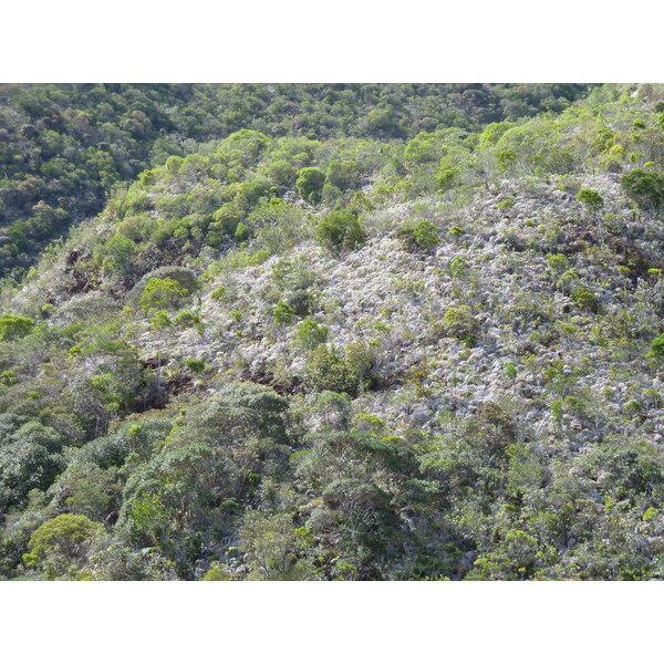 รูปถ่าย นิวแคลิโดเนีย(New Caledonia) ถนนจากทีโอไปกานาลา(Thio to Canala road) 2010-05 28