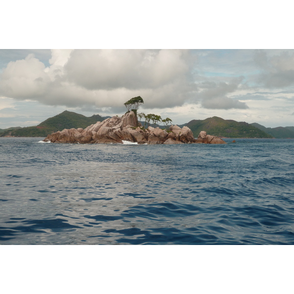 รูปถ่าย เซเชลส์(Seychelles) เกาะลาดีก(La Digue) 2011-10 151