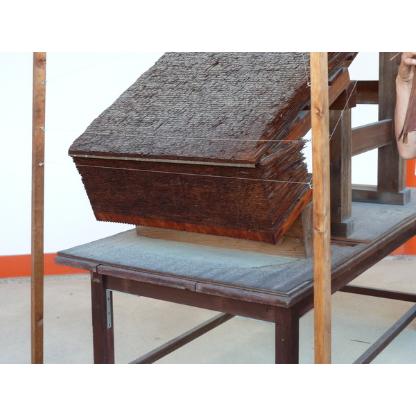 รูปถ่าย ญี่ปุ่น(Japan) เกียวโต(Kyoto) พระราชวังหลวงเกียวโต(Kyoto Imperial Palace) 2010-06 94