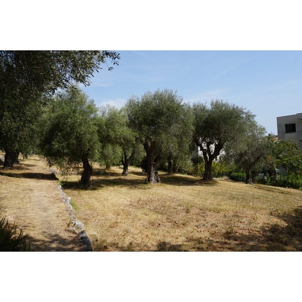 รูปถ่าย ฝรั่งเศส(France) วังซ์(Vence) 2017-08 15