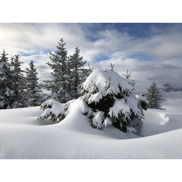 รูปถ่าย ฝรั่งเศส(France) ปรา-ซูร์-อาร์ลี(Praz sur Arly) 2019-12 271