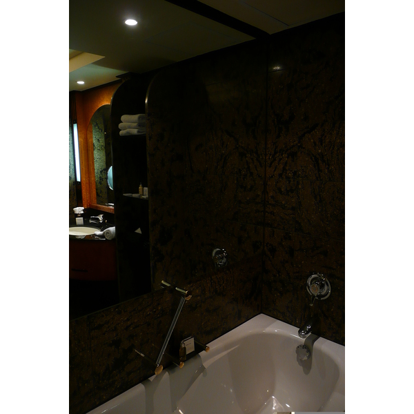 รูปถ่าย แอฟริกาใต้(South Africa) โจฮันเนสเบิร์ก(Johannesburg) โรงแรมอินเตอร์คอนติเนนตัล(Intercontinental Hotel) 2008-09 21