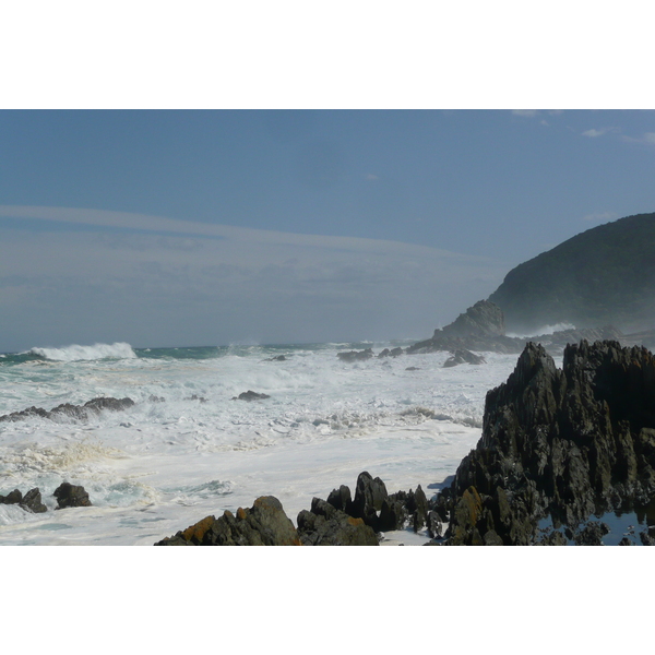 รูปถ่าย แอฟริกาใต้(South Africa) อุทยานแห่งชาติซิตซิคัมมา(Tsitsikamma National Park) 2008-09 432