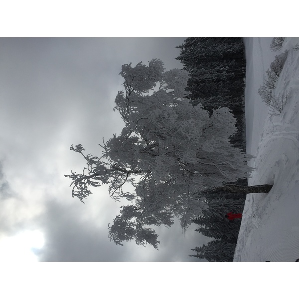 รูปถ่าย ฝรั่งเศส(France) เมแฌฟว์(Megeve) 2016-02 42