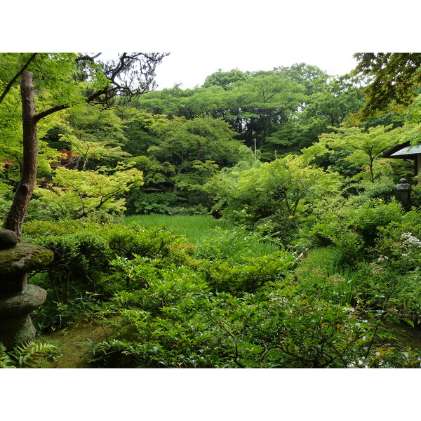 รูปถ่าย ญี่ปุ่น(Japan) โตเกียว(Tokyo) พิพิธภัณฑ์เนซุ(Nezu Museum) 2010-06 68