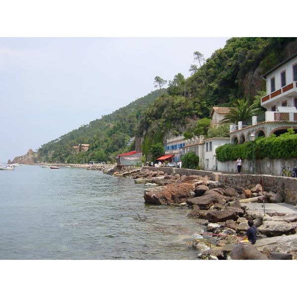 รูปถ่าย ฝรั่งเศส(France) เอสเตอเรล(Esterel) 2003-05 15