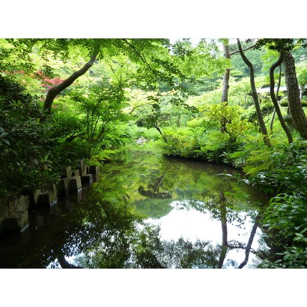 รูปถ่าย ญี่ปุ่น(Japan) โตเกียว(Tokyo) พิพิธภัณฑ์เนซุ(Nezu Museum) 2010-06 91