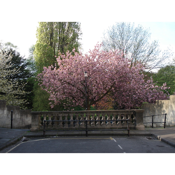 รูปถ่าย อังกฤษ(United Kingdom) บาธ(Bath) 2006-05 48