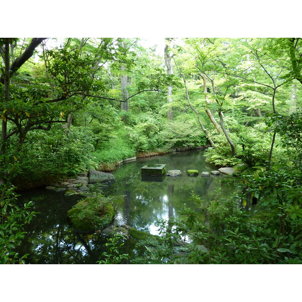 รูปถ่าย ญี่ปุ่น(Japan) โตเกียว(Tokyo) พิพิธภัณฑ์เนซุ(Nezu Museum) 2010-06 101
