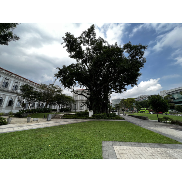 รูปถ่าย สิงคโปร์(Singapore) สวนฟอร์ตแคนนิง(Fort Canning Park) 2023-01 1
