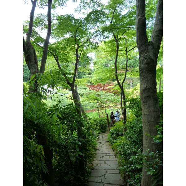 รูปถ่าย ญี่ปุ่น(Japan) โตเกียว(Tokyo) พิพิธภัณฑ์เนซุ(Nezu Museum) 2010-06 92