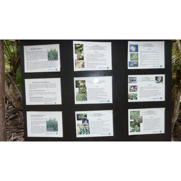 รูปถ่าย เซเชลส์(Seychelles) เกาะกูรีเยิซ(Curieuse) 2011-10 37