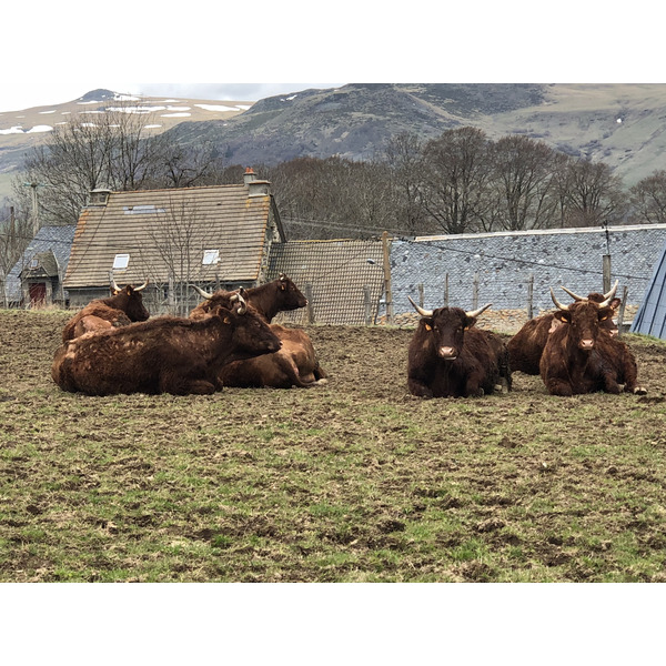 รูปถ่าย ฝรั่งเศส(France) ดีแยน(Dienne) 2018-04 2