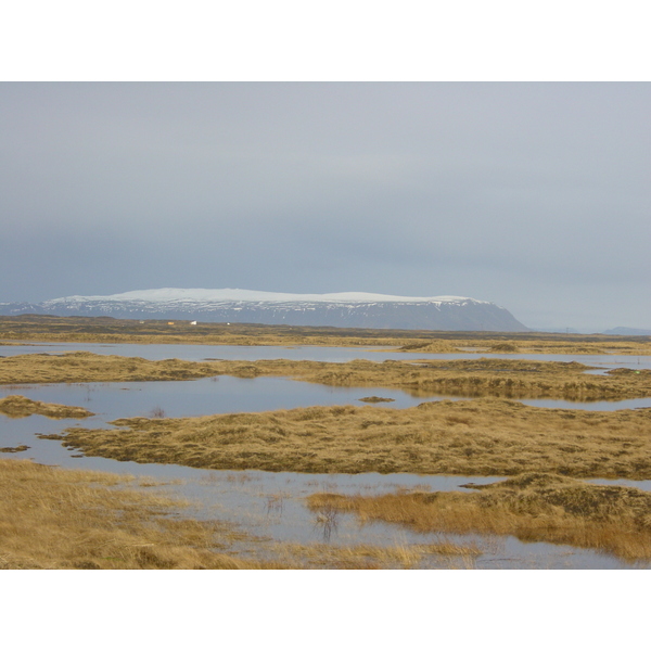 รูปถ่าย ไอซ์แลนด์(Iceland) แอราร์ิบาคคิ(Eyrarbakki) 2003-03 0