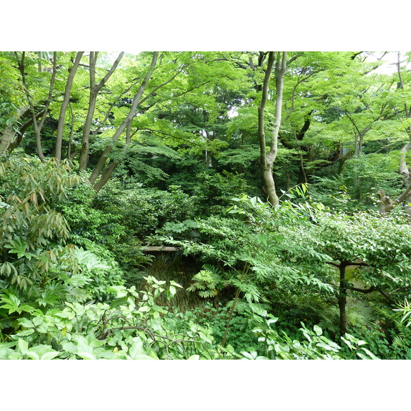 รูปถ่าย ญี่ปุ่น(Japan) โตเกียว(Tokyo) พิพิธภัณฑ์เนซุ(Nezu Museum) 2010-06 112