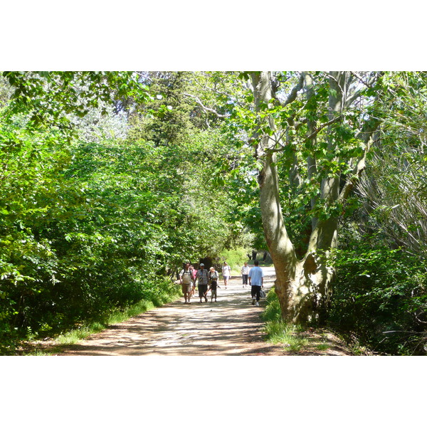 รูปถ่าย ฝรั่งเศส(France) เกาะปอร์เกอรอล(Porquerolles Island) ที่ราบกูร์ตาด(Plaine de la courtade) 2008-05 25
