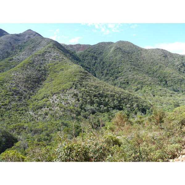 รูปถ่าย นิวแคลิโดเนีย(New Caledonia) ถนนจากทีโอไปกานาลา(Thio to Canala road) 2010-05 32