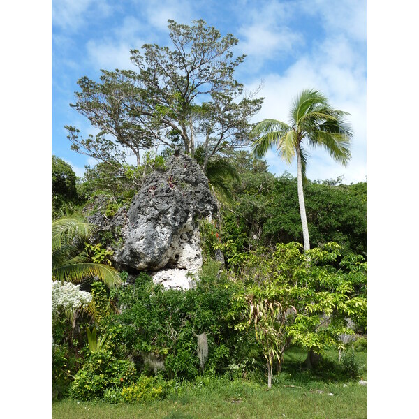 รูปถ่าย นิวแคลิโดเนีย(New Caledonia) เกาะลีฟู(Lifou) โยซิป(Josip) 2010-05 18