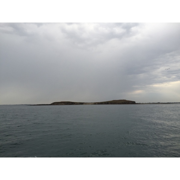 รูปถ่าย ฝรั่งเศส(France) อ่าวมอร์บีอ็อง(Golfe du Morbihan) 2016-08 25