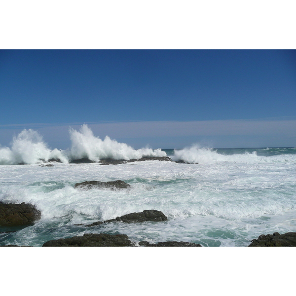 รูปถ่าย แอฟริกาใต้(South Africa) อุทยานแห่งชาติซิตซิคัมมา(Tsitsikamma National Park) 2008-09 347