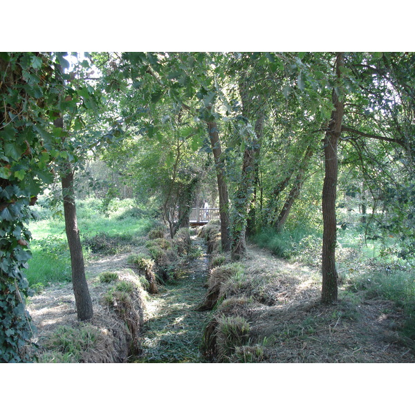 รูปถ่าย ฝรั่งเศส(France) วีลเนิฟ-ลูแบ(Villeneuve Loubet) สวนโวเกรอนีเย(Parc de Vaugrenier) 2006-09 4