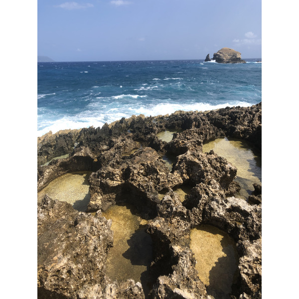 รูปถ่าย กวาเดอลูป(Guadeloupe) แหลมคาสเซิลพอยต์(Castle Point) 2021-02 246