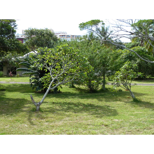รูปถ่าย นิวแคลิโดเนีย(New Caledonia) นูเมอา(Noumea) อ่าวอ็องส์วาตา(Anse Vata) 2010-05 22