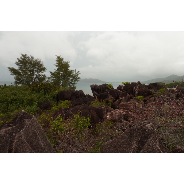 รูปถ่าย เซเชลส์(Seychelles) เกาะกูรีเยิซ(Curieuse) 2011-10 24