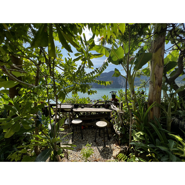 รูปถ่าย ไทย(Thailand) เกาะพีพีดอน(Ko Phi Phi Don) 2021-12 180