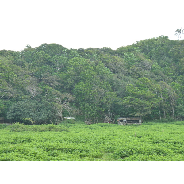 รูปถ่าย ฟิจิ(Fiji) ถนนจากนาดีไปนาตาโดลา(Nadi to Natadola road) 2010-05 77