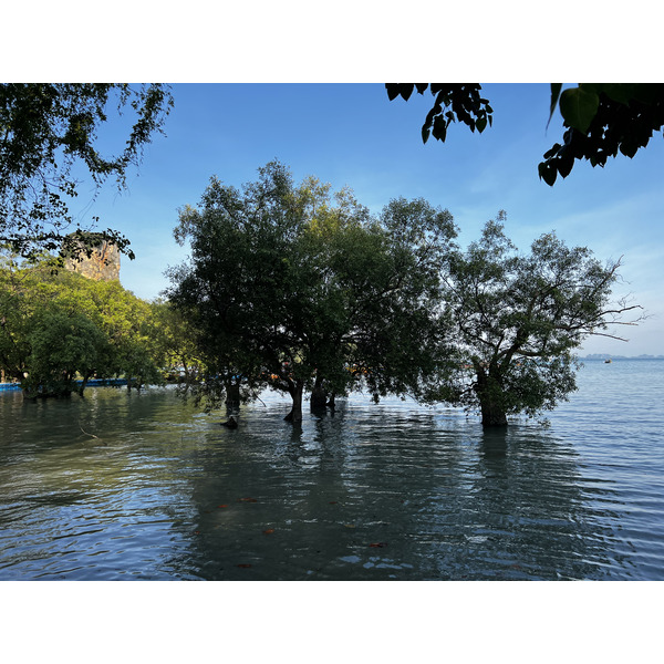 รูปถ่าย ไทย(Thailand) กระบี่(Krabi) 2023-01 271