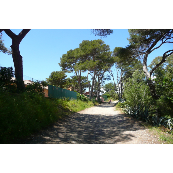 รูปถ่าย ฝรั่งเศส(France) เกาะปอร์เกอรอล(Porquerolles Island) แหลมแบร์ลีเยอ(Bearlieu Point) 2008-05 14