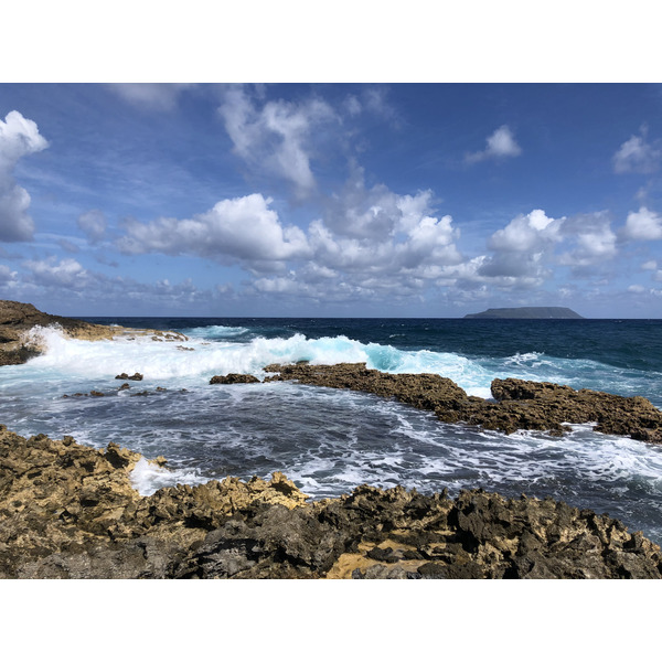 รูปถ่าย กวาเดอลูป(Guadeloupe) แหลมคาสเซิลพอยต์(Castle Point) 2021-02 361