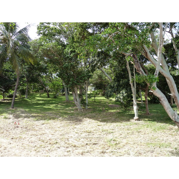 รูปถ่าย นิวแคลิโดเนีย(New Caledonia) นูเมอา(Noumea) อ่าวอ็องส์วาตา(Anse Vata) 2010-05 33