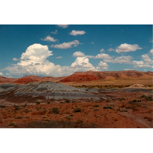 รูปถ่าย สหรัฐอเมริกา(United States) รัฐอริโซนา(Arizona) 1992-08 19