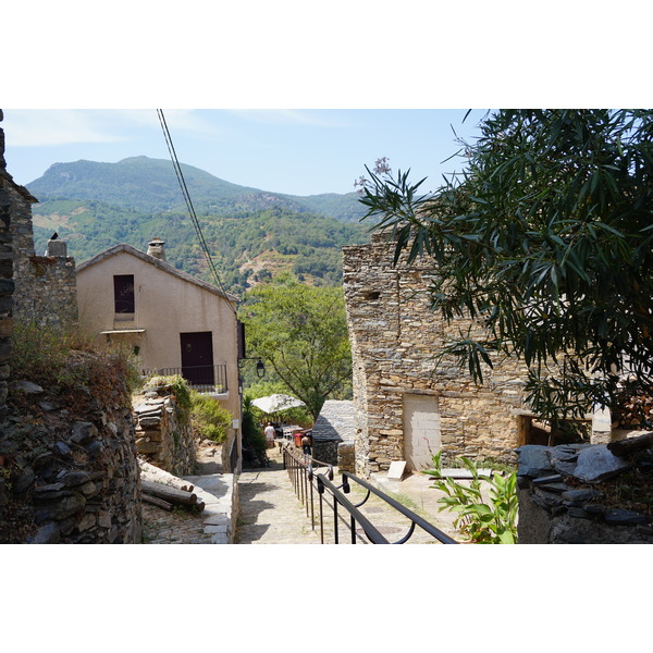 รูปถ่าย ฝรั่งเศส(France) คอร์สิคา(Corsica) เปนตา-ดี-กาซิงกา(Penta-di-Casinca) 2017-09 56