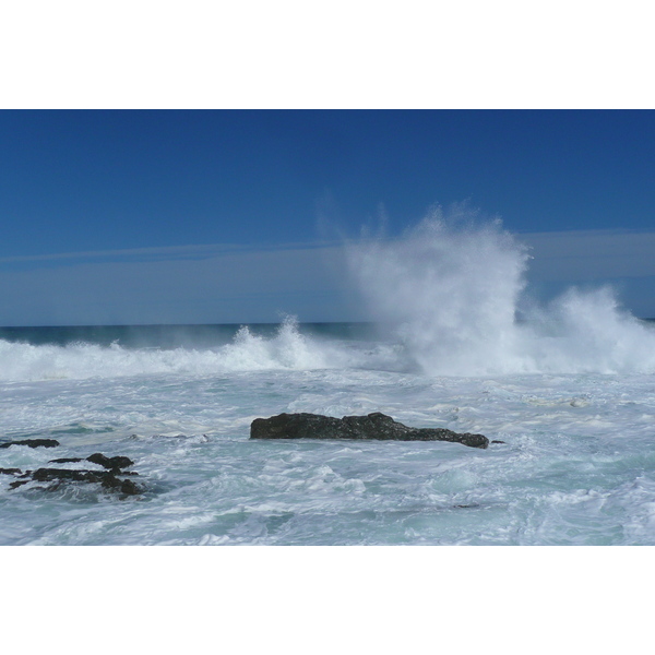 รูปถ่าย แอฟริกาใต้(South Africa) อุทยานแห่งชาติซิตซิคัมมา(Tsitsikamma National Park) 2008-09 117