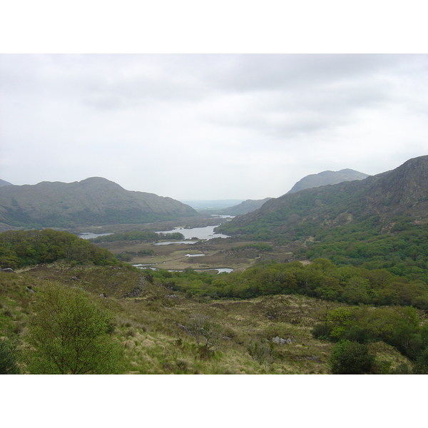 รูปถ่าย ไอร์แลนด์(Ireland) เคอร์รี่(Kerry) สวนสาธารณะคิลลาร์นีย์เนชั่นเนล(Killarney National Park) 2004-05 1