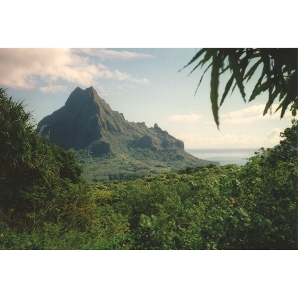 รูปถ่าย เฟรนช์โพลี่นีเซีย(Polynesia) 1993-04 81