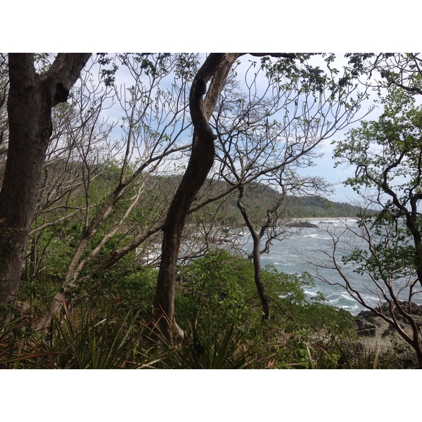 รูปถ่าย คอสตาริกา(Costa Rica) มอนเตซูมา(Montezuma) 2015-03 401
