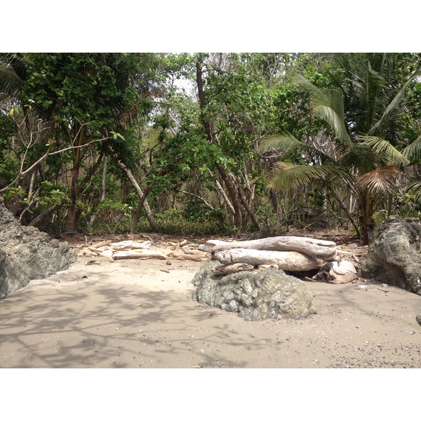 รูปถ่าย คอสตาริกา(Costa Rica) มอนเตซูมา(Montezuma) 2015-03 426
