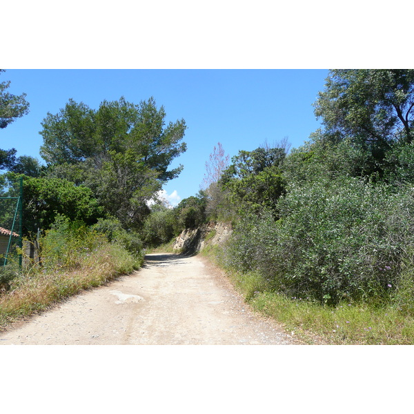 รูปถ่าย ฝรั่งเศส(France) เกาะปอร์เกอรอล(Porquerolles Island) แหลมแบร์ลีเยอ(Bearlieu Point) 2008-05 10