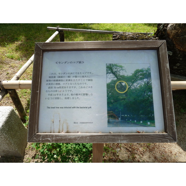 รูปถ่าย ญี่ปุ่น(Japan) เกียวโต(Kyoto) สวนเกียวโตเกียวเอ็ง(Kyoto Gyoen Garden) 2010-06 61