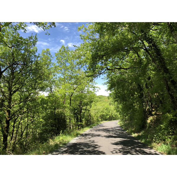 รูปถ่าย ฝรั่งเศส(France) ฟลัวรัก(Floirac) 2018-04 127